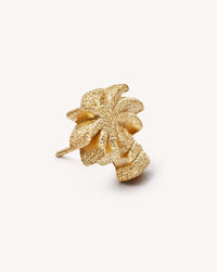 18k yellow forte got lucky florentine frosted finish gold palma single earring on white background
